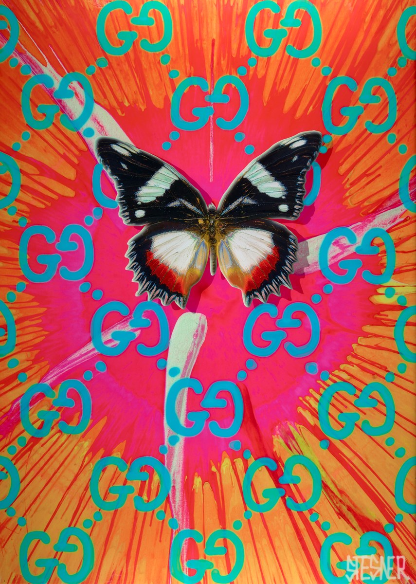 Soul-O-Fly