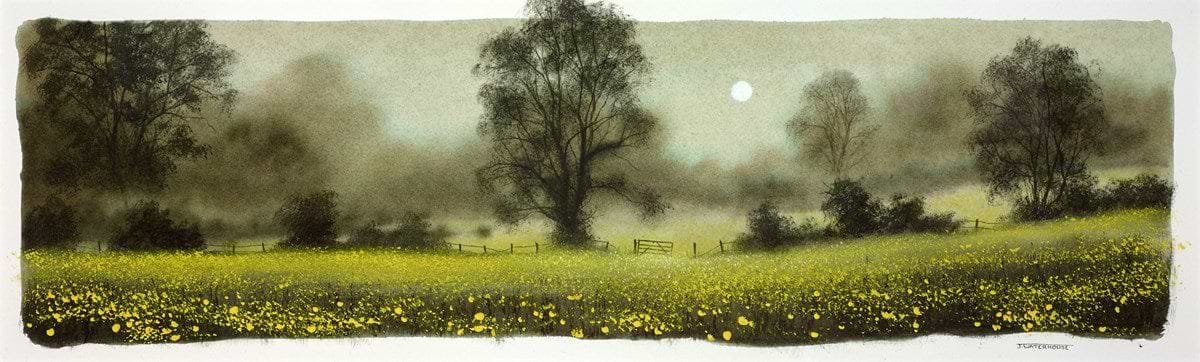 Buttercups (study)