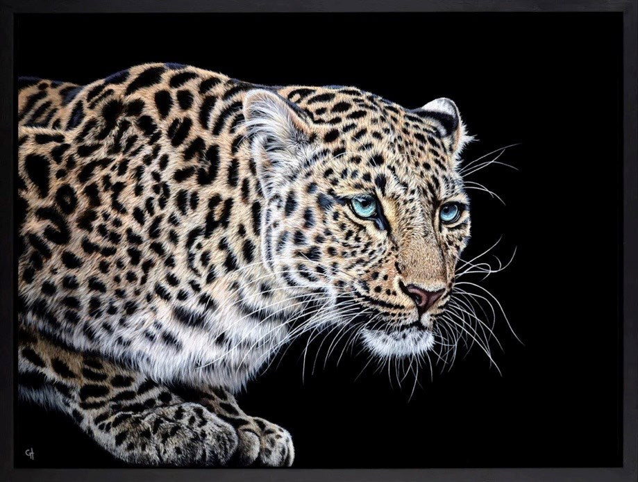 Ready to Pounce (Framed)