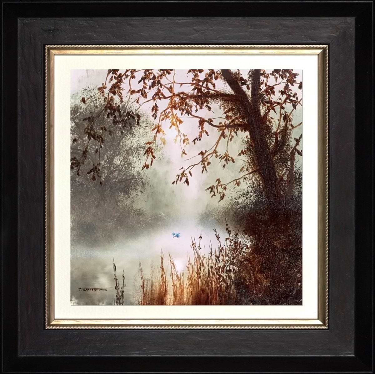 The Kingfisher (Framed)