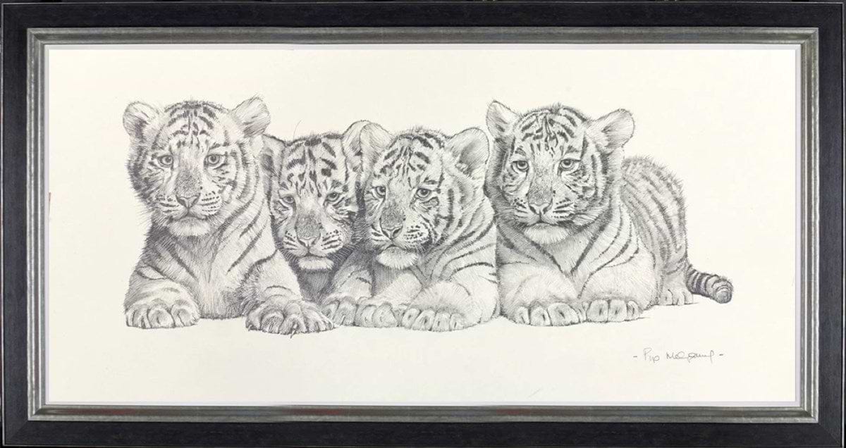 Four White Tiger Cubs (Framed)