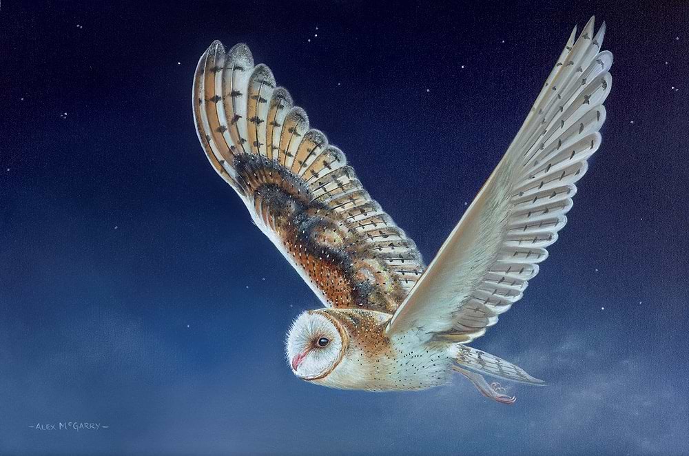 Flying Owl