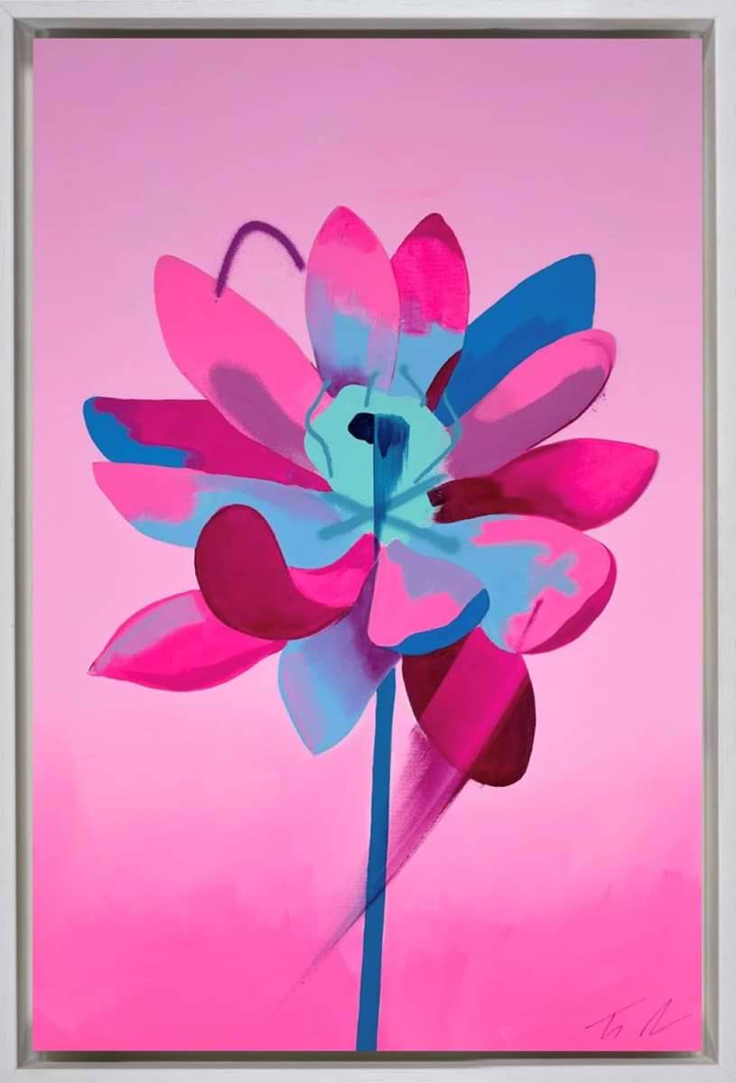Stowaway Pink (Framed)