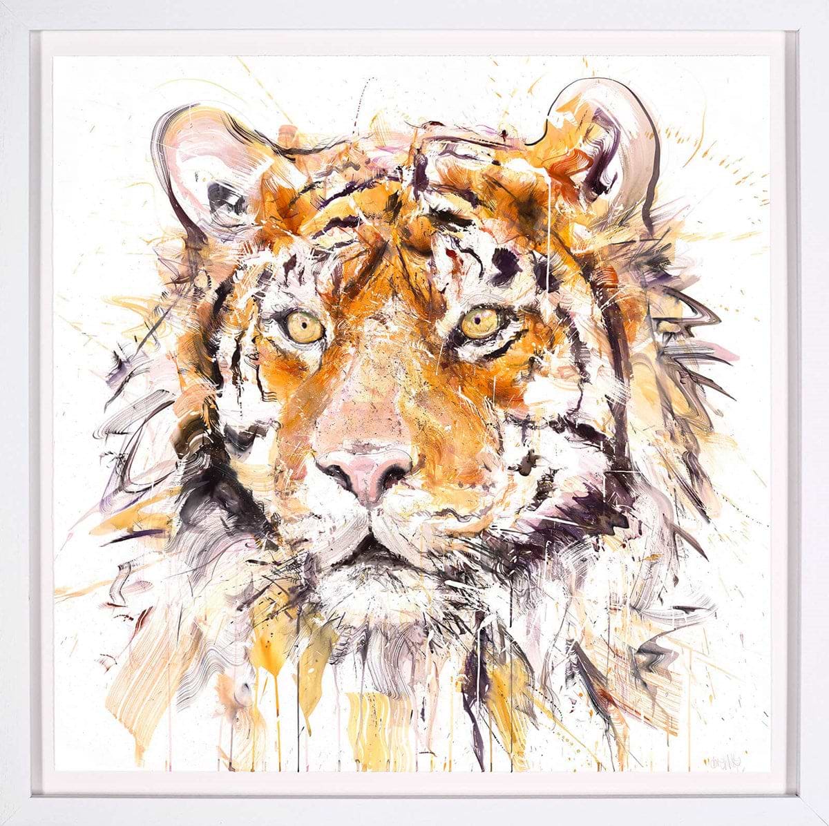 Tiger III | Dave White – Clarendon Fine Art