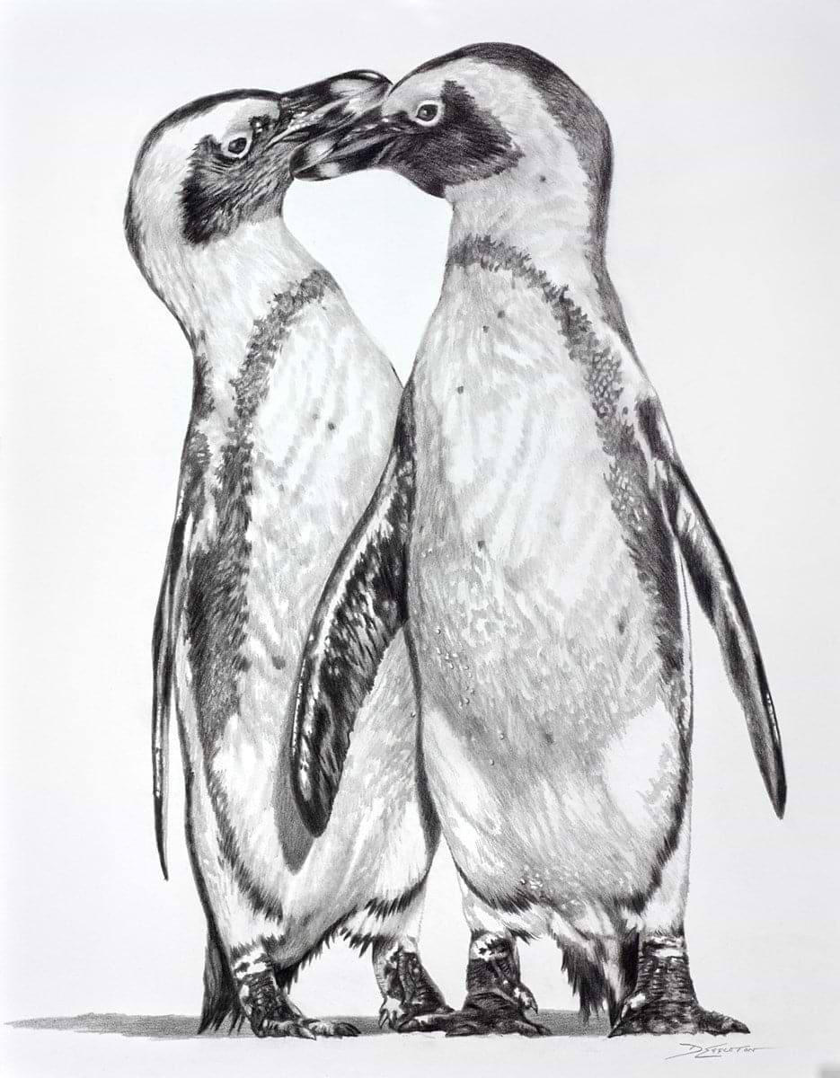 Penguins Playing