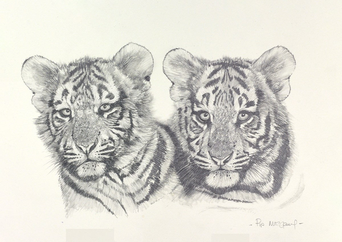 Tiger Cubs Sketch