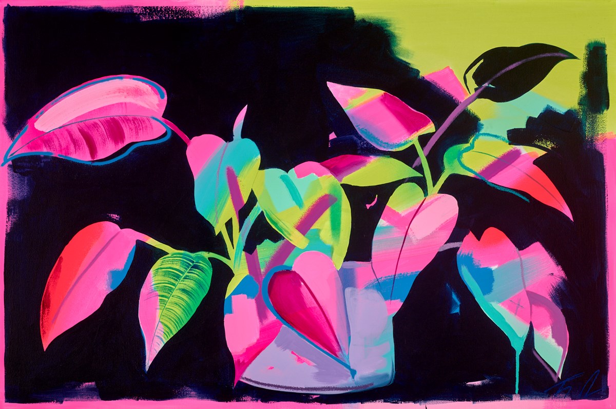 Pothos at Night