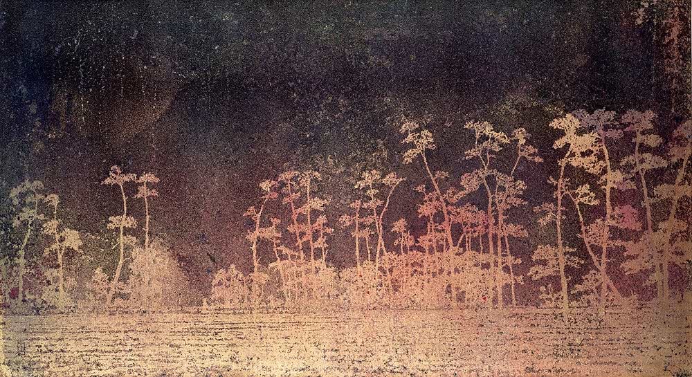 Woodland Beauty