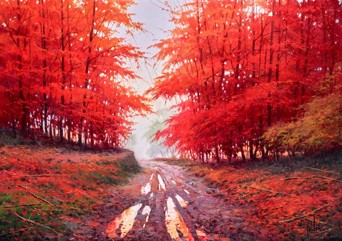 Otoño en Navarra