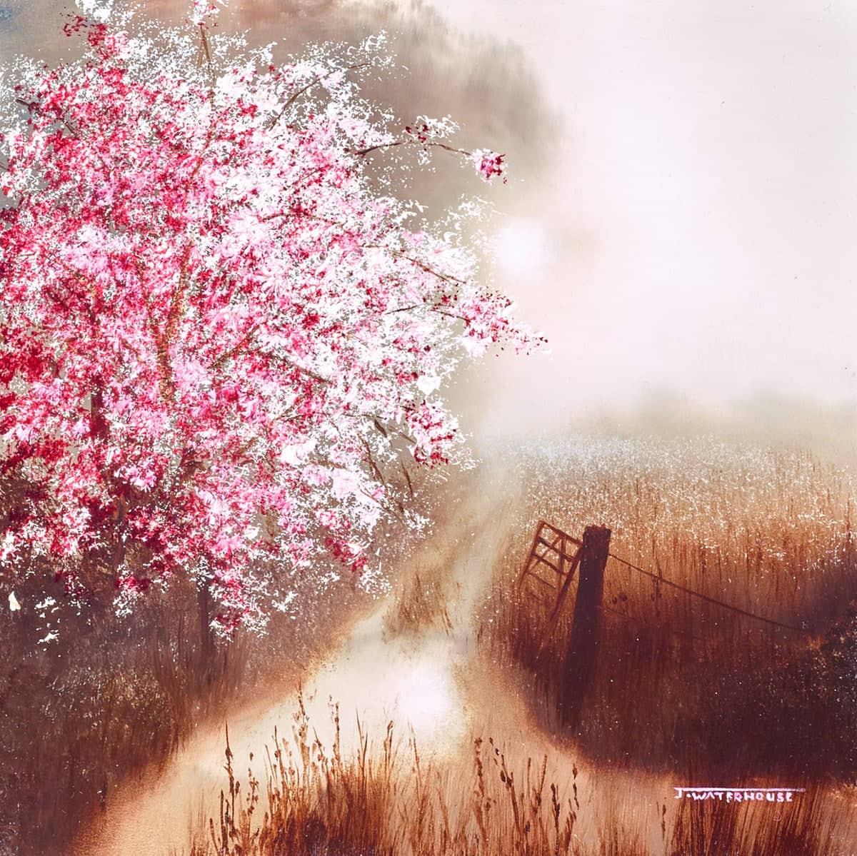 This Enchanted Place