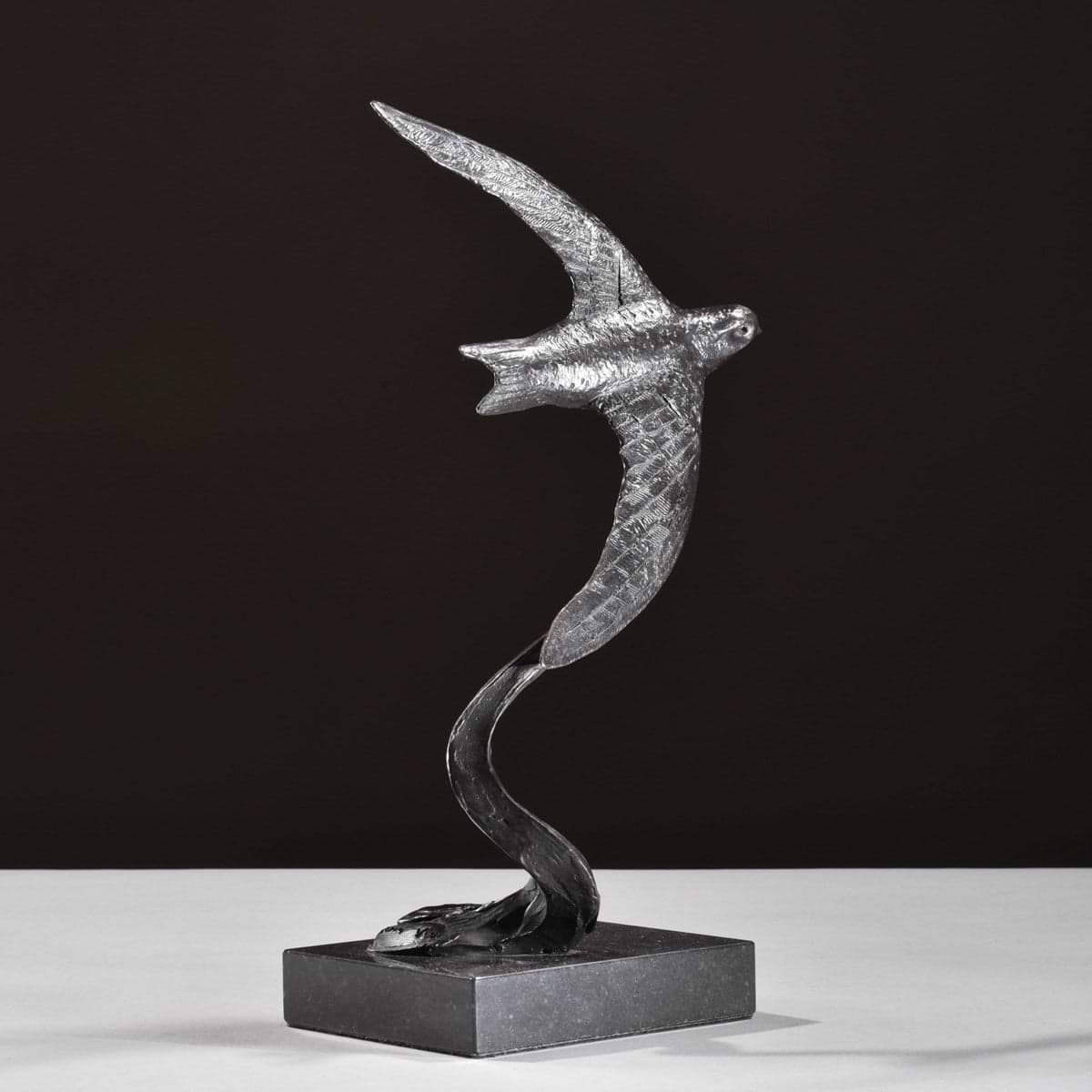 Swift Swooping - 2019