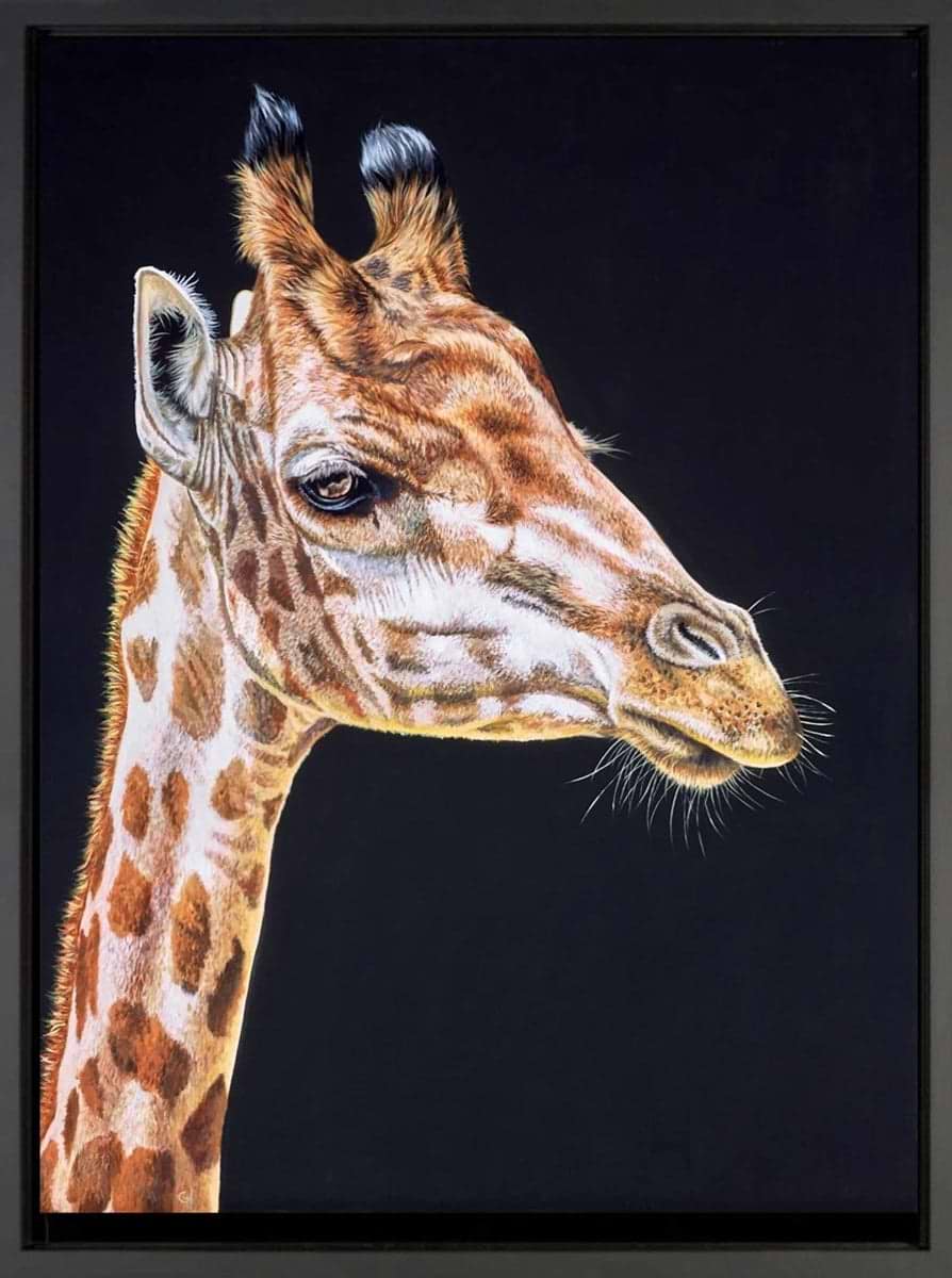 Sleepy Giraffe (Framed)