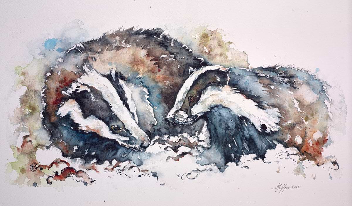 Badgers at Dusk