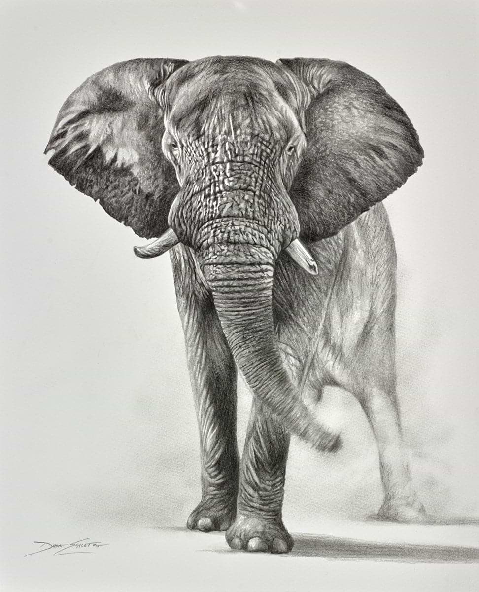Elephant Study III