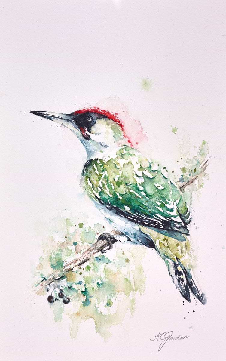 Native Green Woodpecker
