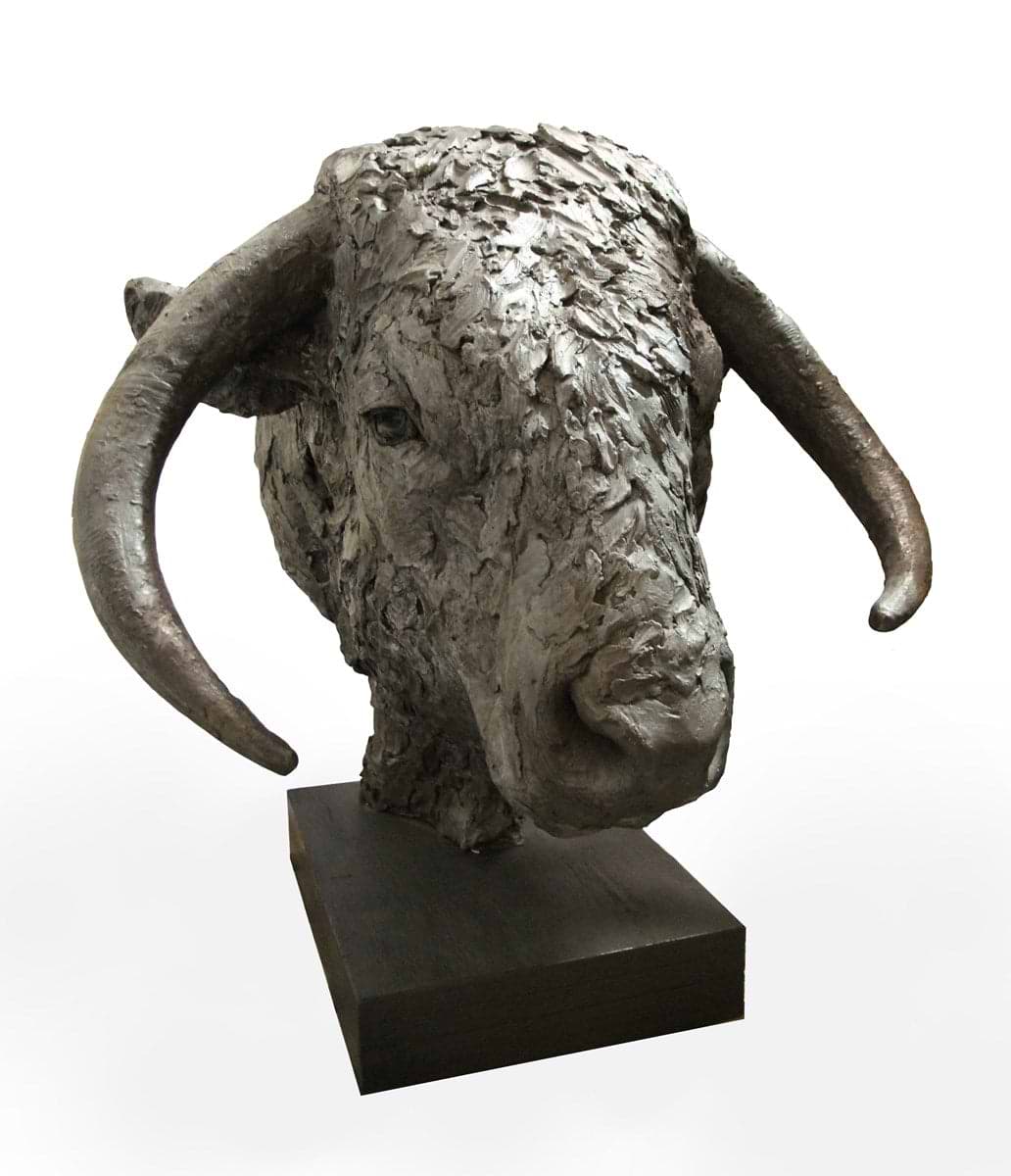 Longhorn Bull Head - 2017