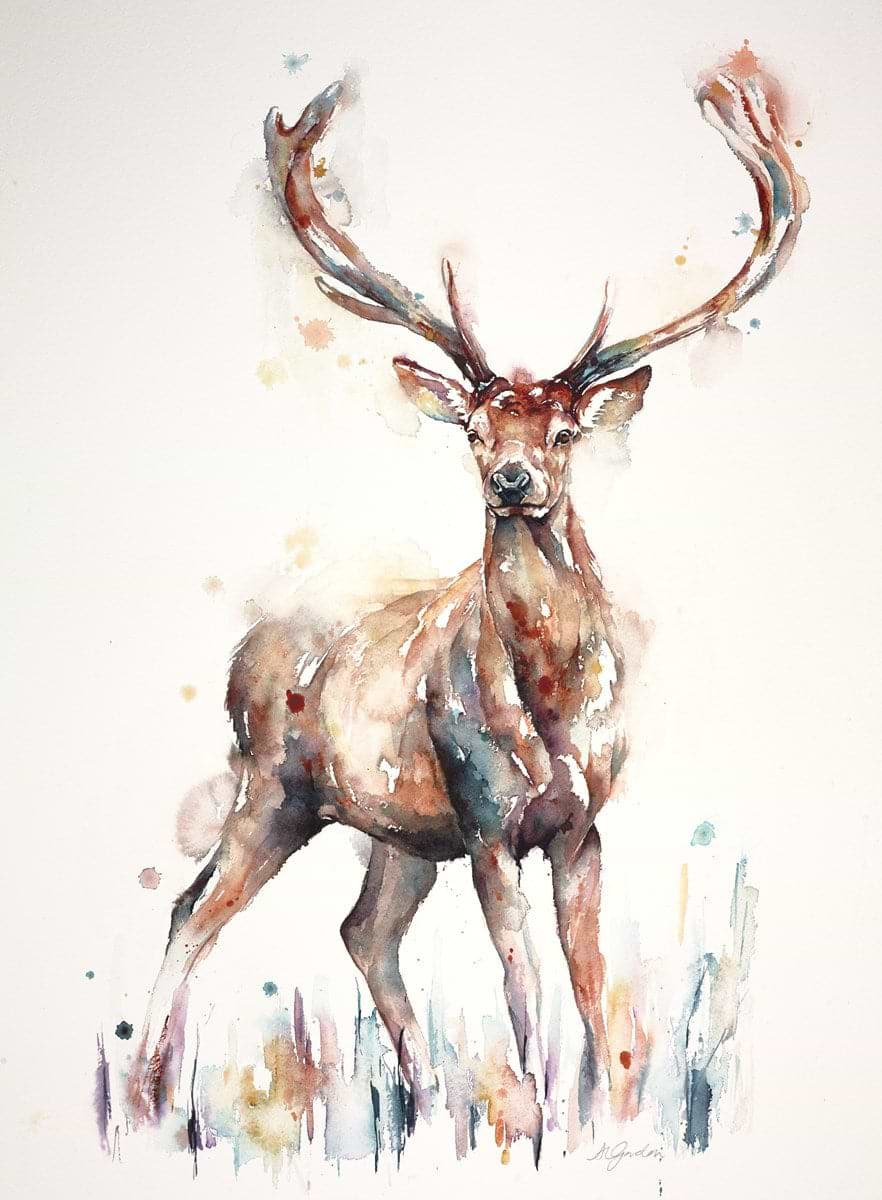 Alert - Red Stag