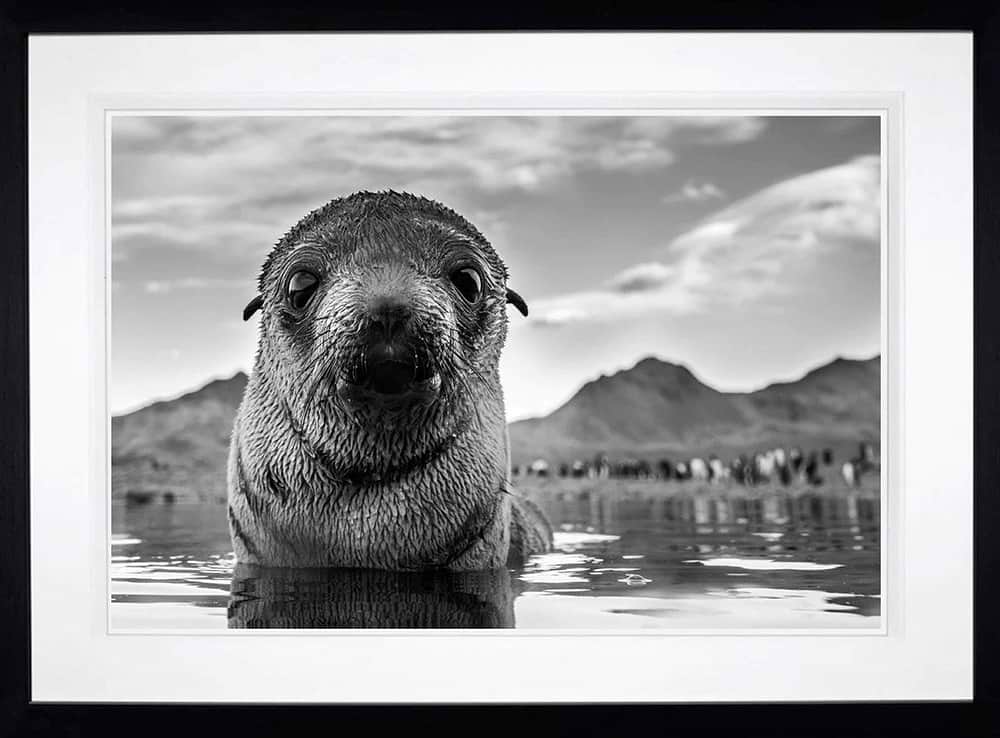 From The Brink (Framed)
