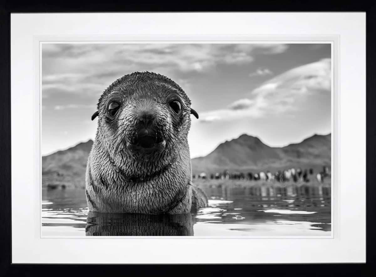 From The Brink (Framed)