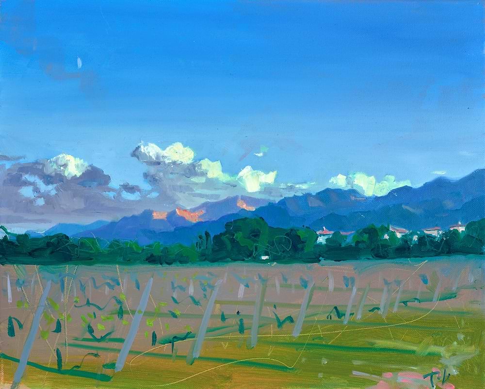 Open skies