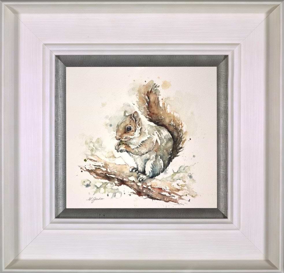 Grey Squirrel with Nut (Framed)