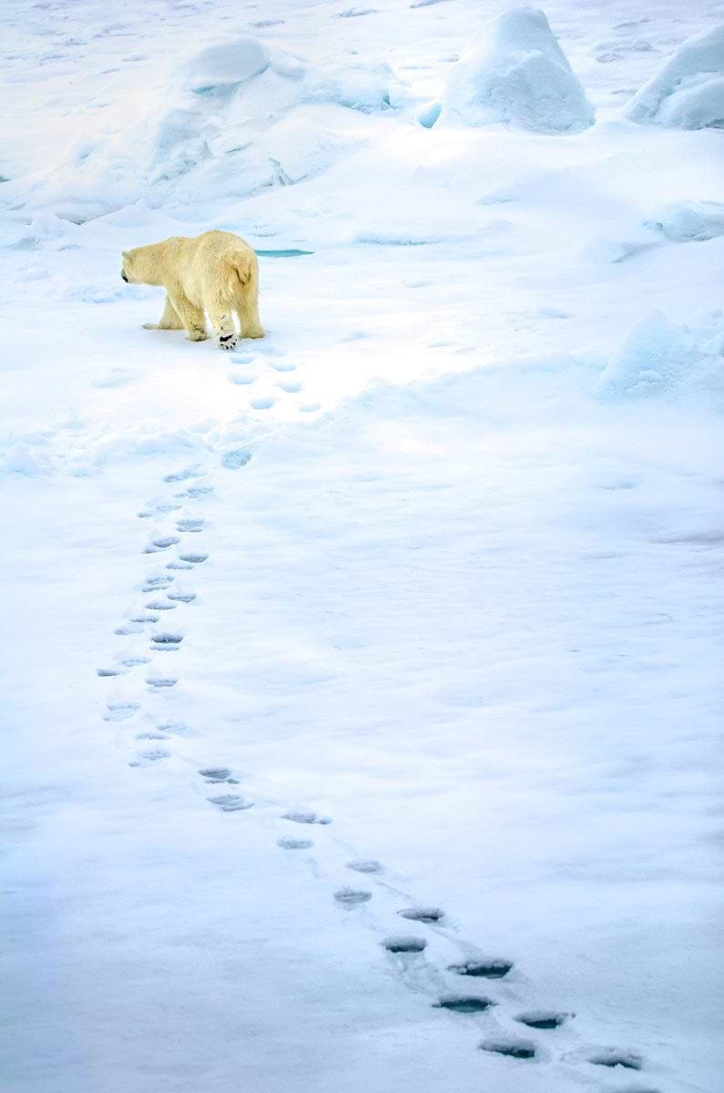 The Path Less Trodden