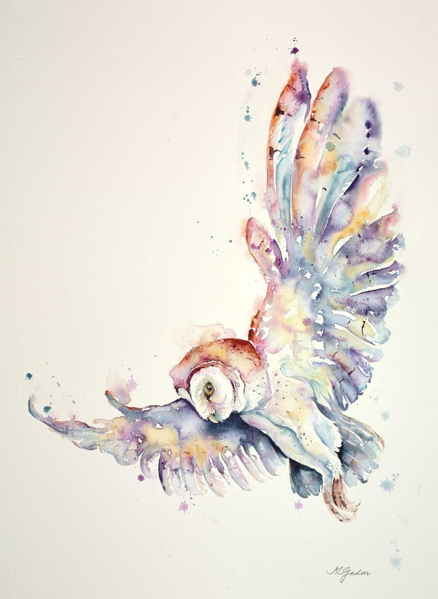 Silent Flight - Barn Owl | Amanda Gordon – Clarendon Fine Art