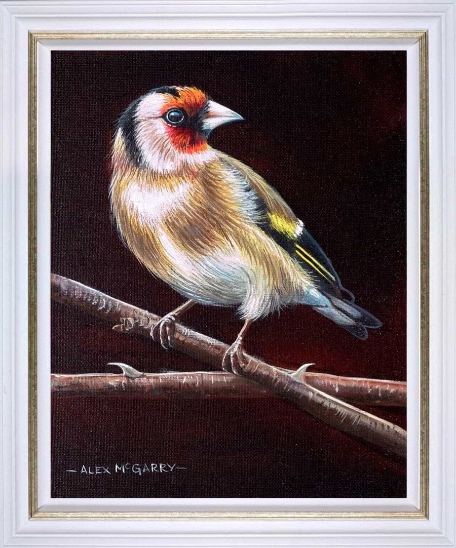 Goldfinch III (Framed)