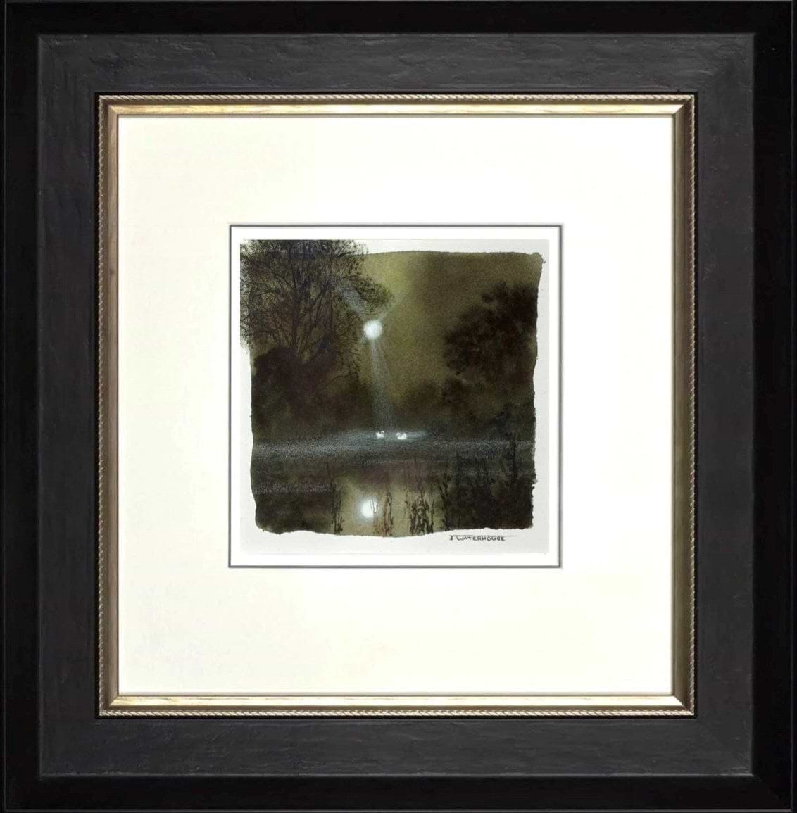 Natures Glory(study) (Framed)