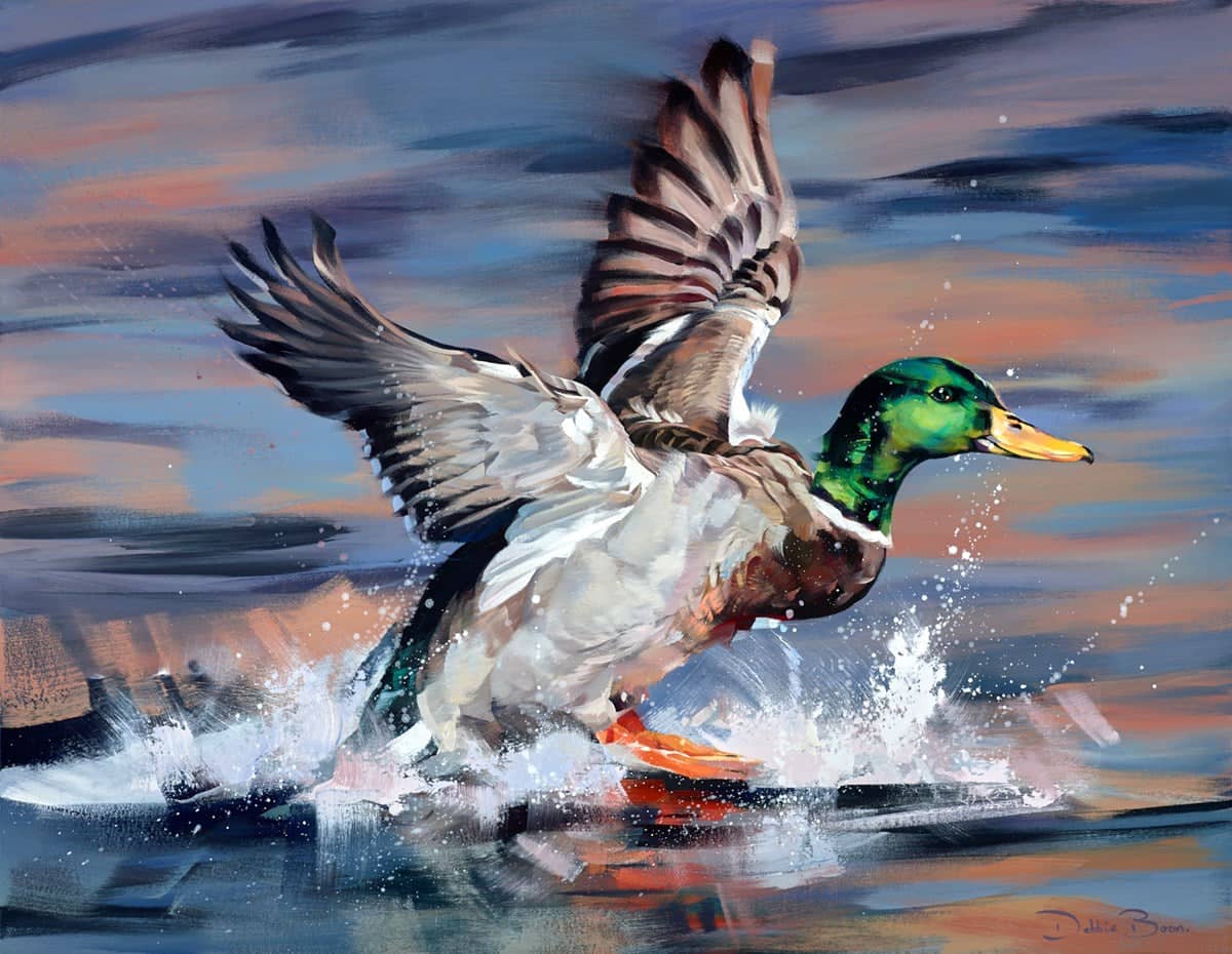 Water Wings