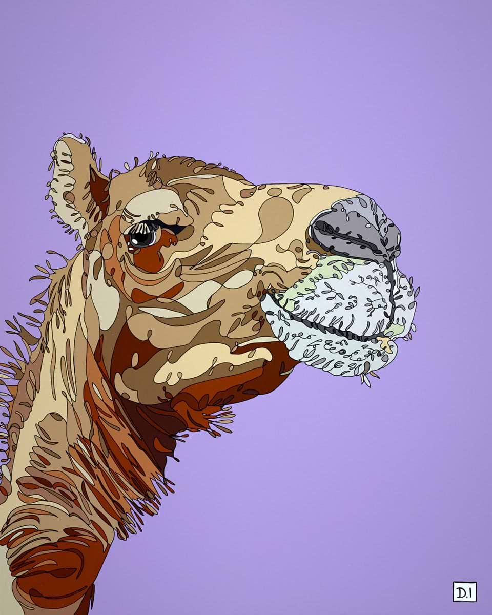 Camel