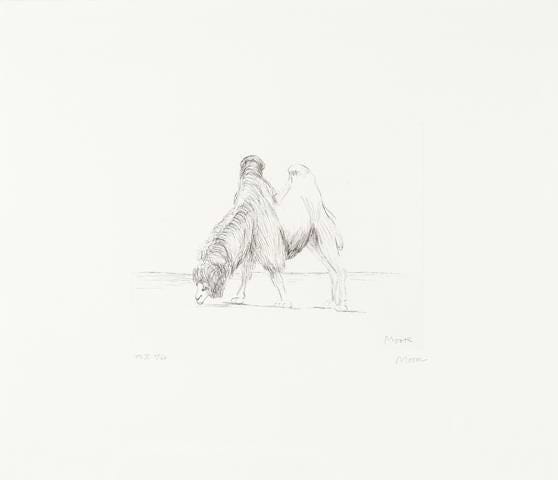 Dromedary from Animals in the Zoo, 1981