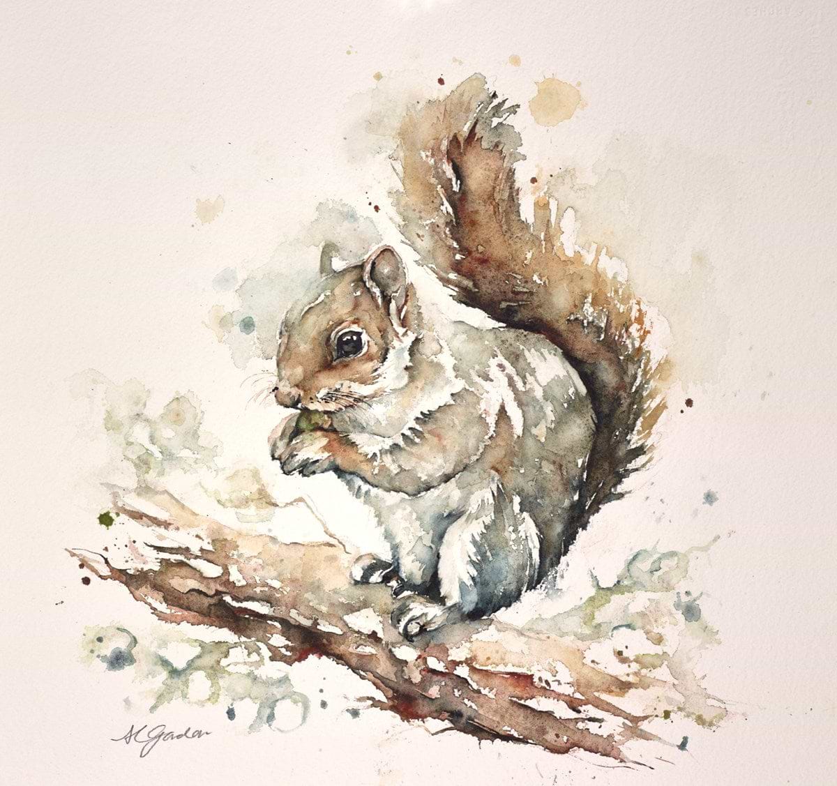 Grey Squirrel with Nut