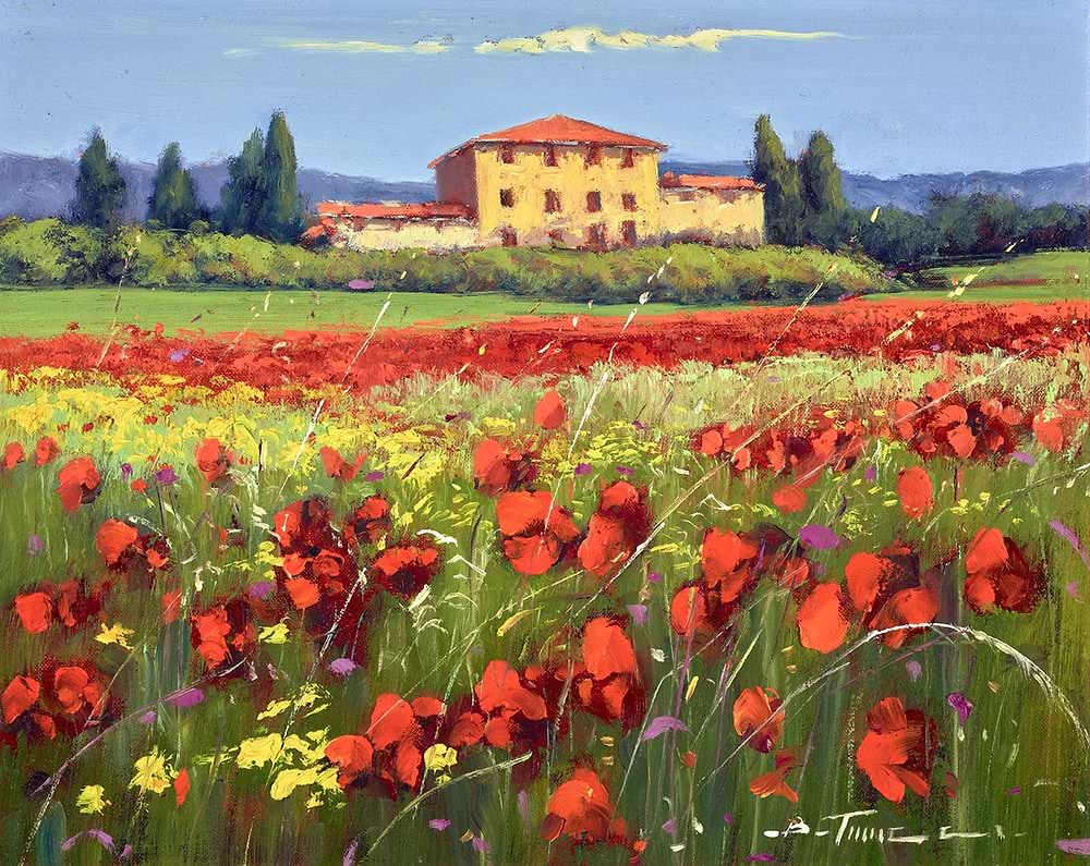 Mare di Fiori di Campo