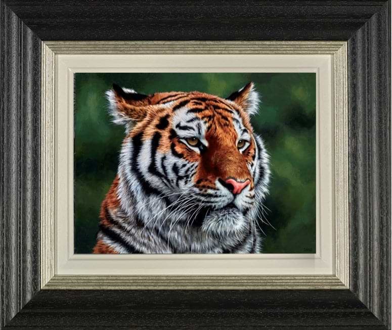 Eye of The Tiger (Framed)