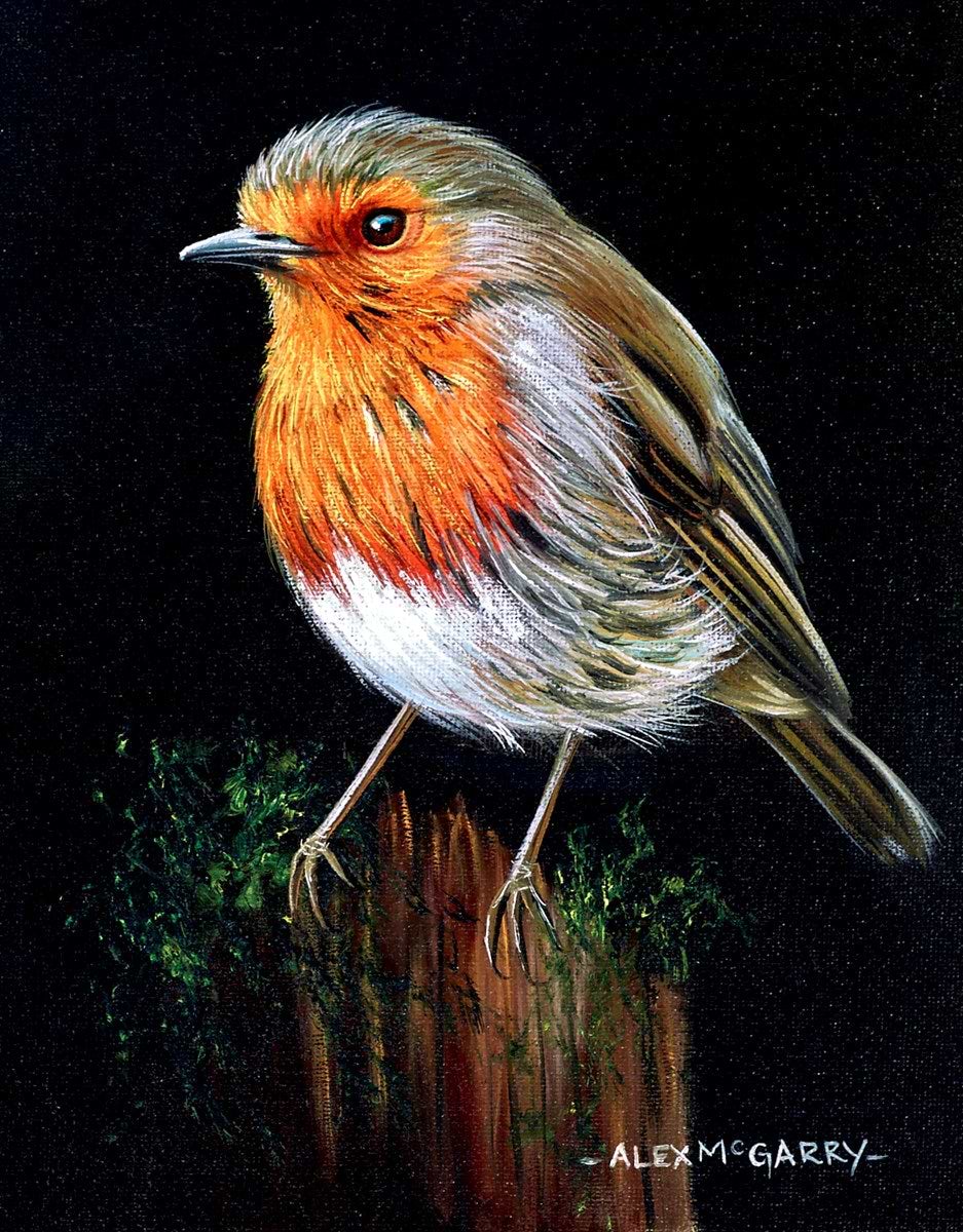 Robin