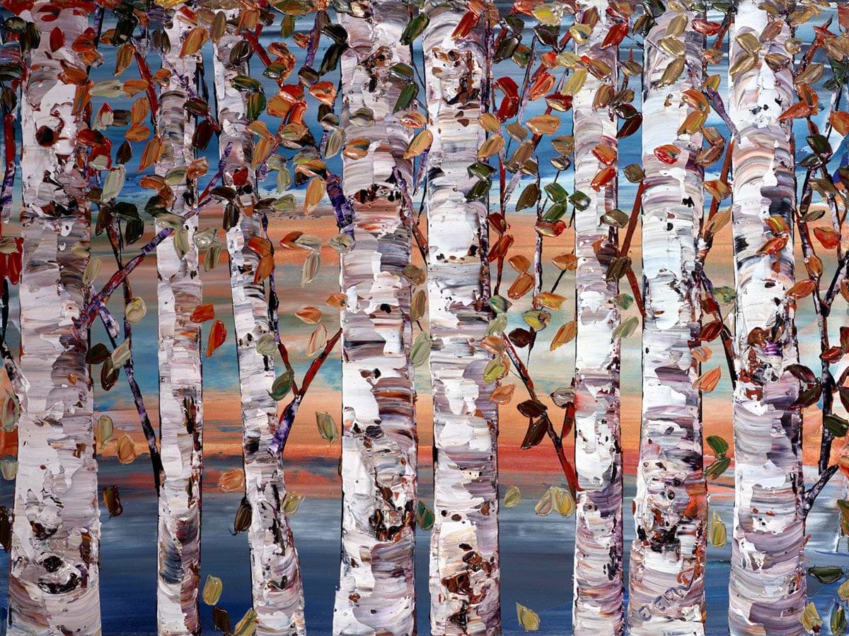 Silver birch in Summer
