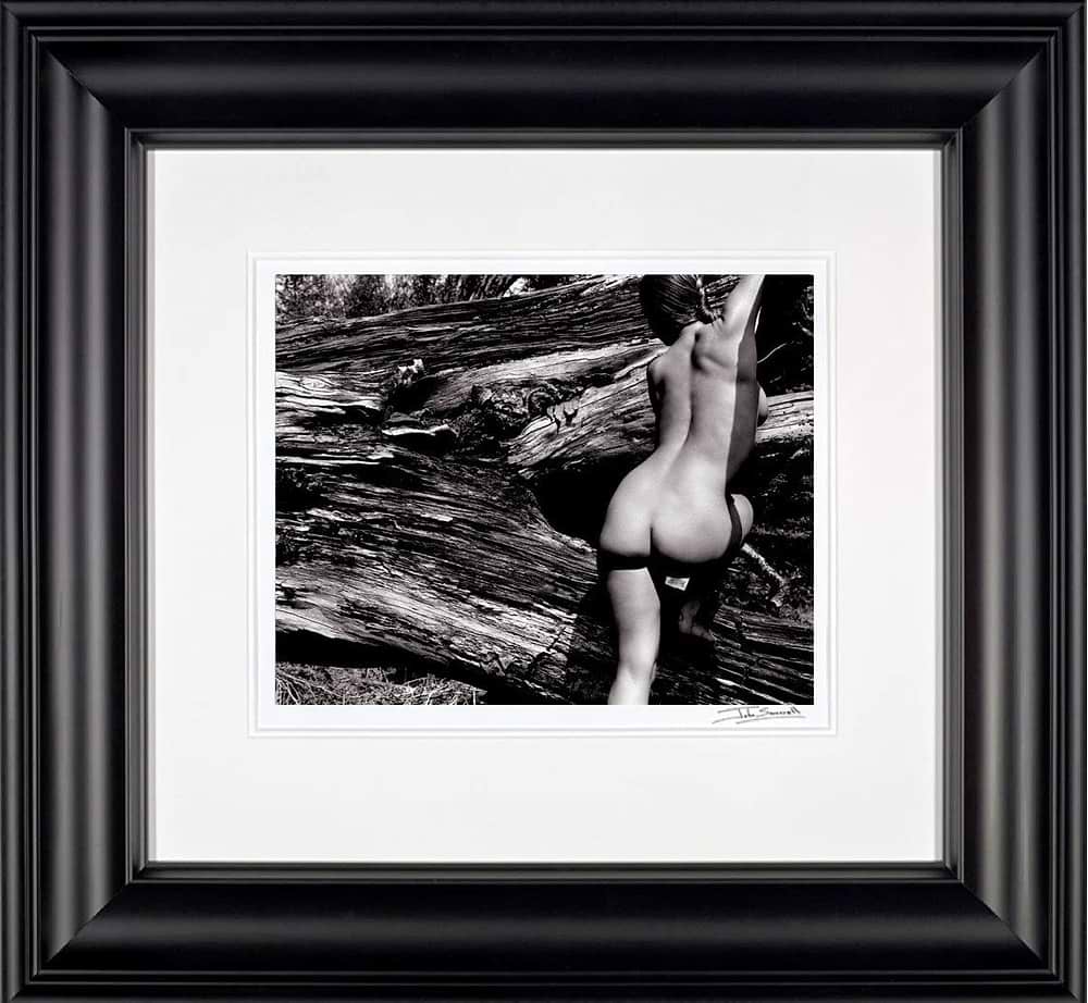 Naked Landscape, Plate 43 (Framed)