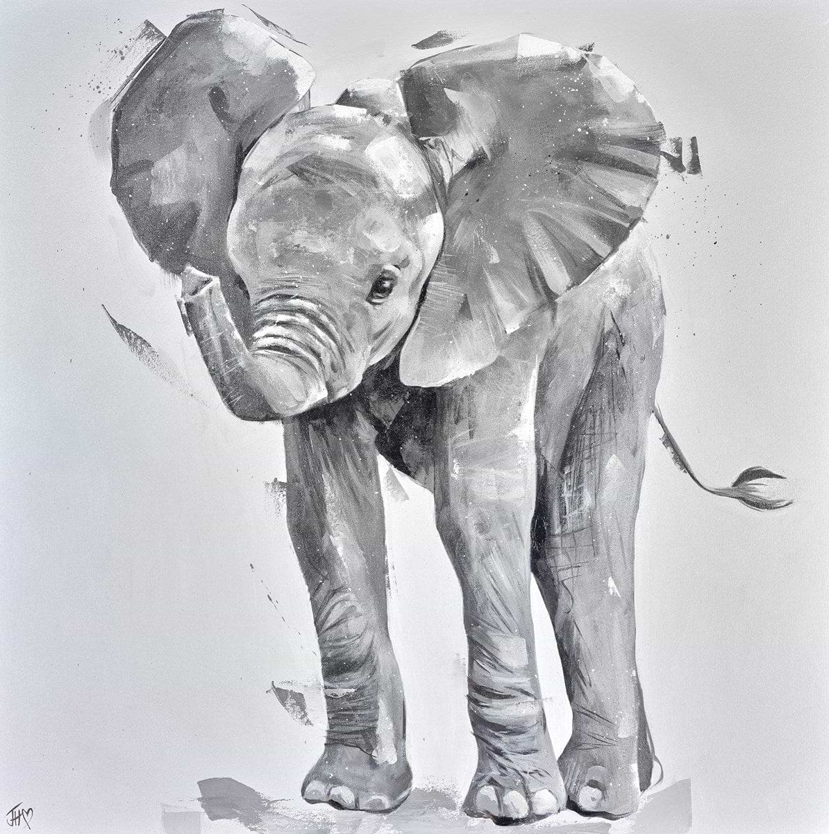 Elephant Calf Sparkle