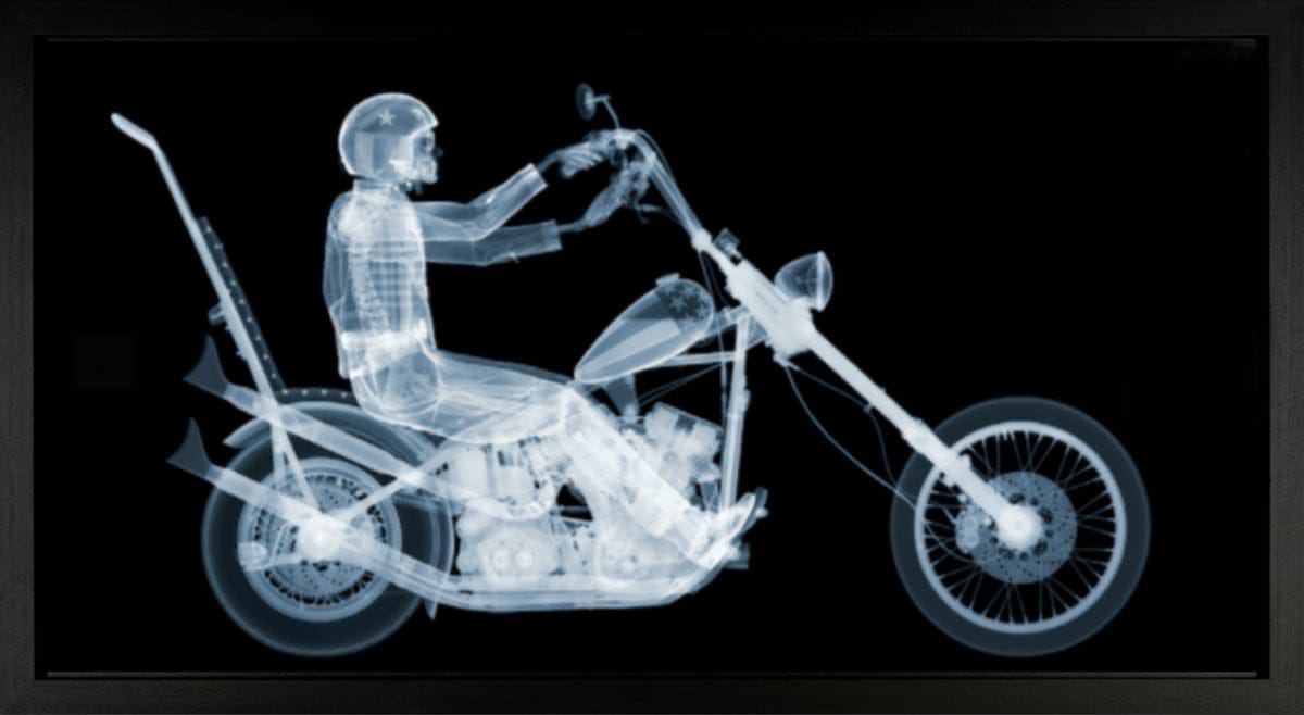 Easy Rider (Framed)