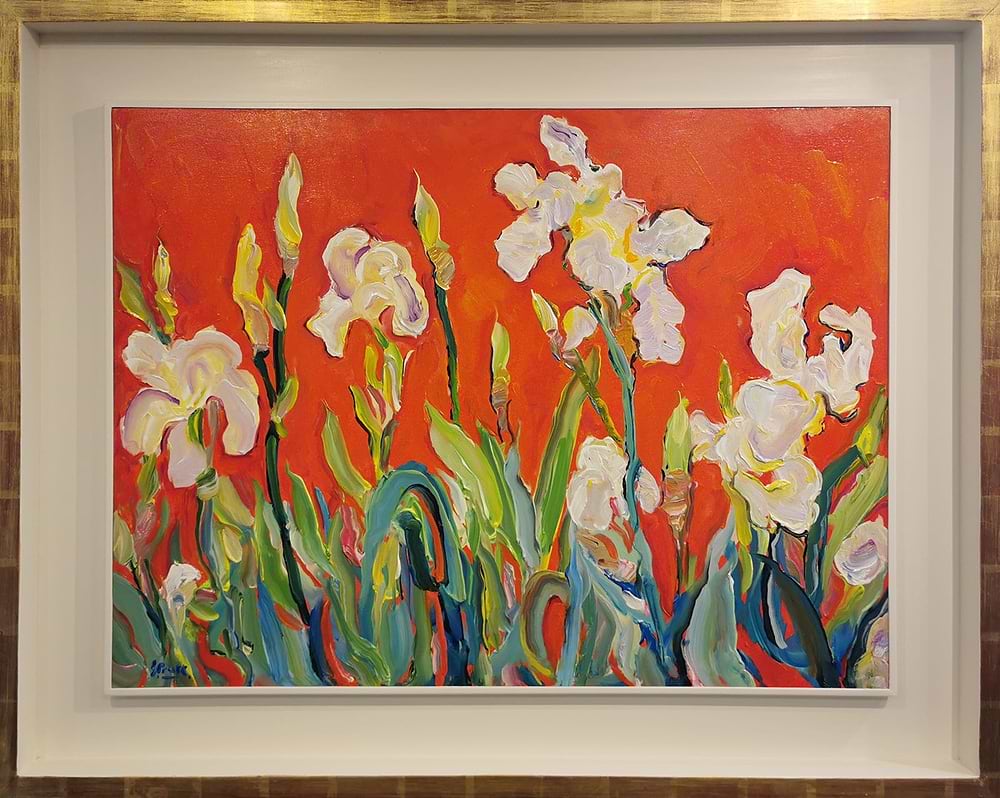 Foxhill Iris