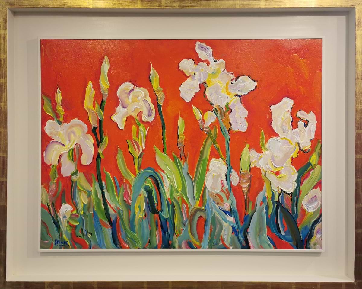 Foxhill Iris