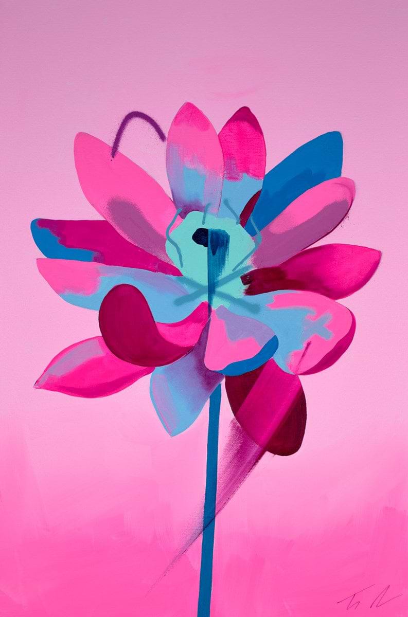 Stowaway Pink
