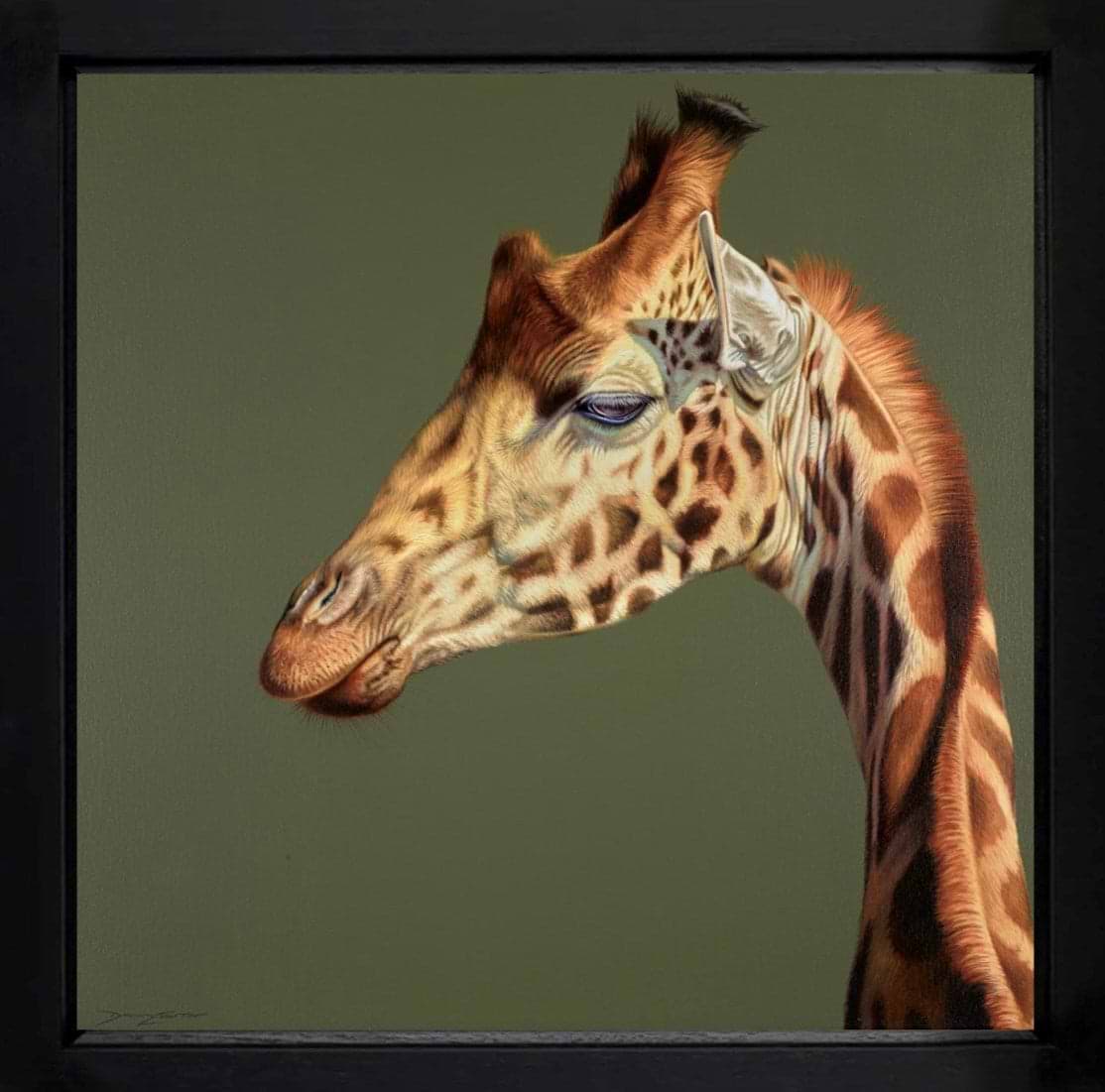 Graceful Curve (Framed)
