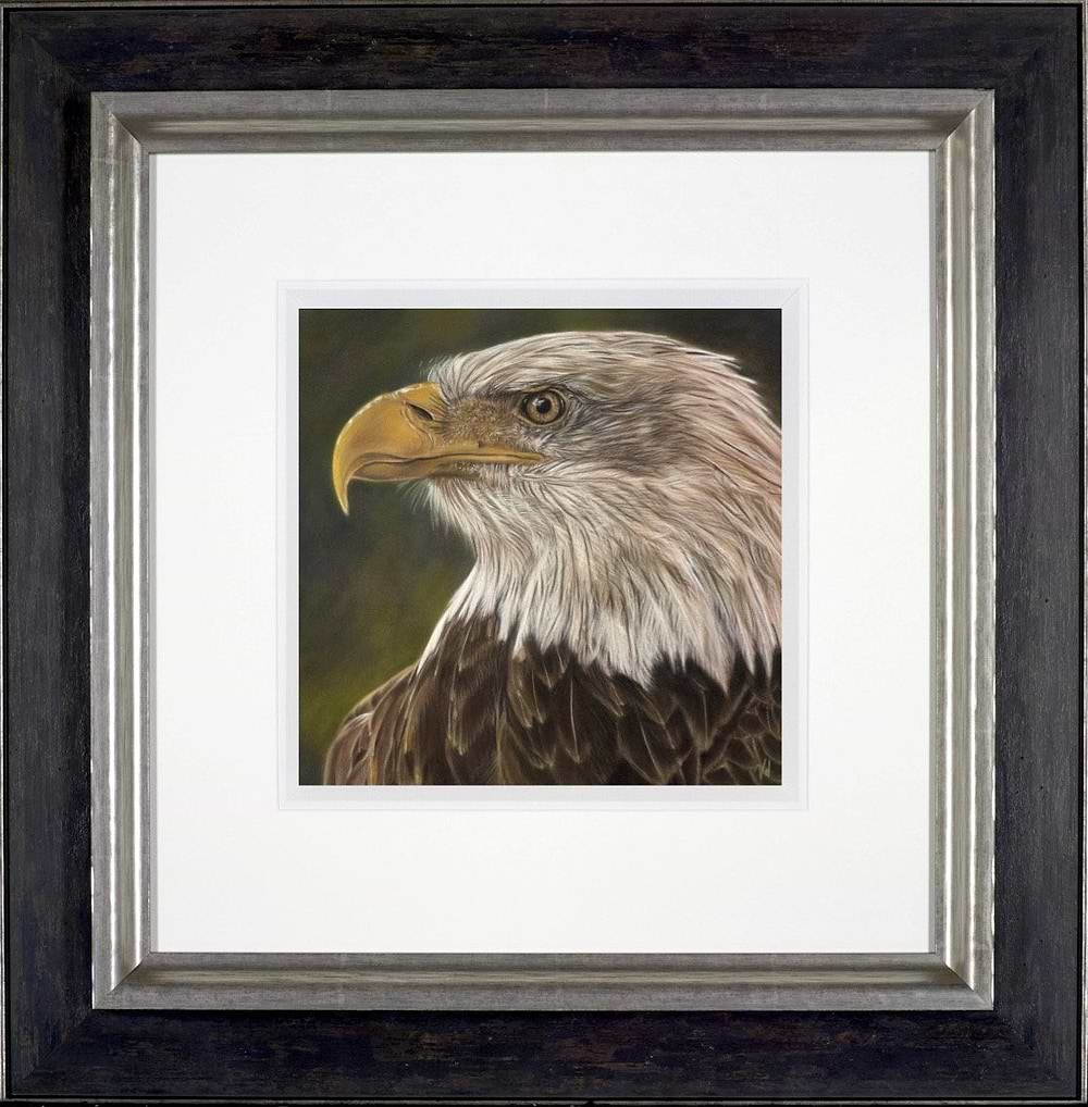 The Eagle Has Landed (Framed)