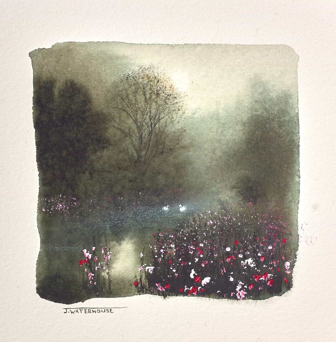 Our Delicate World (Study)