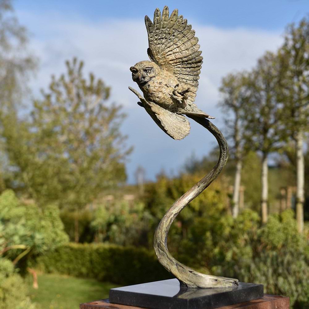 Little Owl - 2021