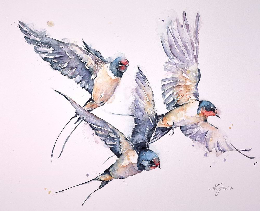 A Summer's Welcolme - Swallows