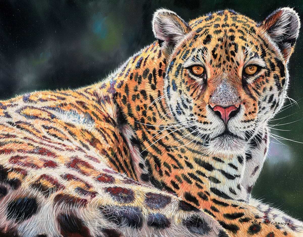 Mr Cool (Jaguar)