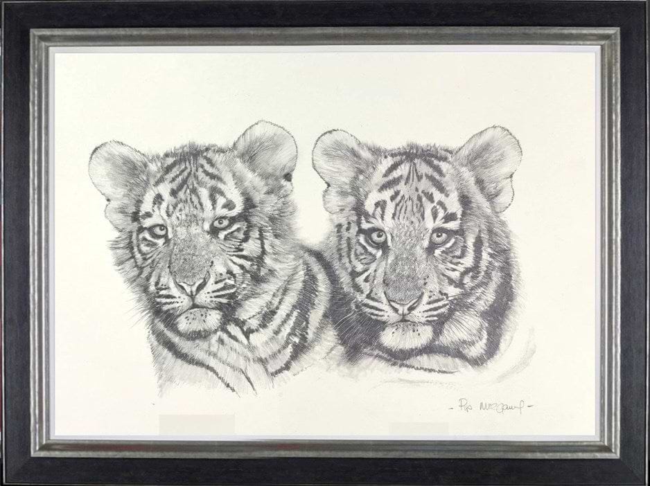 Tiger Cubs Sketch (Framed)
